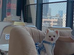 -怪兽屋·羊驼·猫咖·狗咖(俊华广场店)