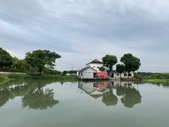 -水岸居湖景农家乐·阳澄湖大闸蟹