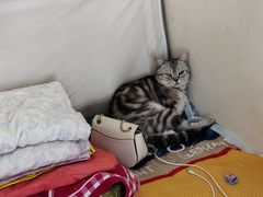 -横店电影城(同至人店)