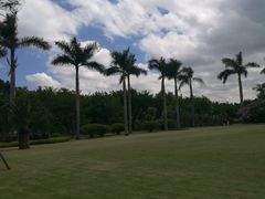 景点-白鹭洲公园