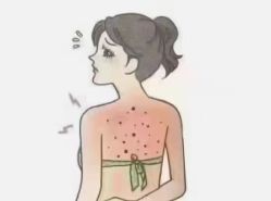-丽减美瘦吧·减肥瘦身