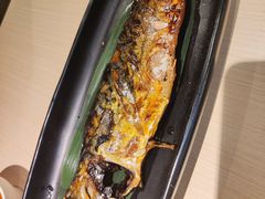 -万岁料理回转寿司(华贸店)