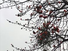 -荔湾湖公园