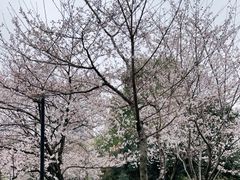 -堤角公园