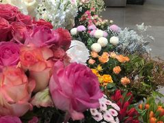 -植物学家的女儿(北马道巷店)