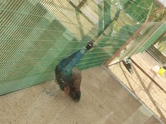 -羊亭河湿地公园