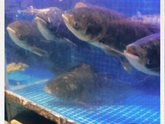 -姜君·千岛湖鱼头馆(浦东大道店)