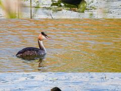-野鸭湖国家湿地公园