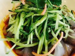 东北大拉皮-津菜宋记老房子(鼓楼店)