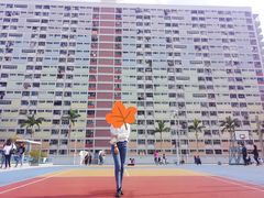 -彩虹村