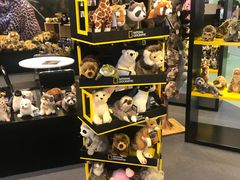 -香港会议展览中心演讲厅