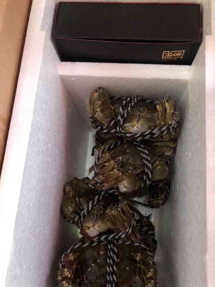 周氏阳澄湖大闸蟹(庆春路店)-"最近是吃大闸蟹的日子,然而我们也不断