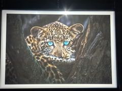 -罗红摄影艺术馆