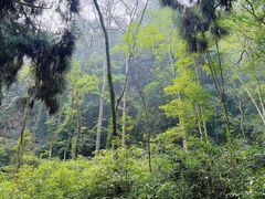-青城山