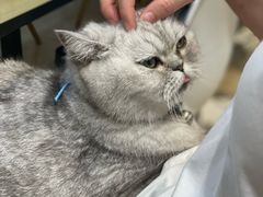 -Oasis绿洲银饰珍珠手作diy(壹方城店)