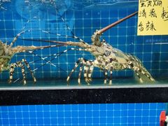 -醉壹号海鲜大排档(厦门美食地标店)