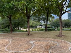 -海珠儿童公园