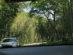 -水墨汀溪风景区