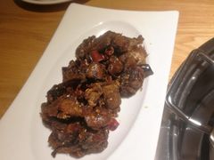 -守柴炉烤鸭(科华中路王府井店)