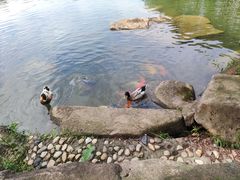 -白马涧龙池景区