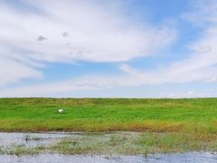 -黑龙江扎龙生态旅游区