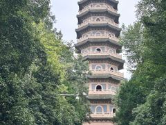 -灵谷景区