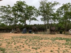 -大连铭湖国际观光牧场