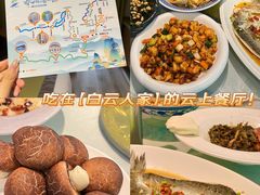 -洛阳白云山景区