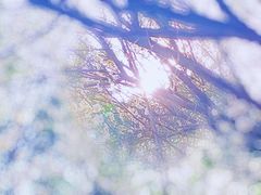 -西昌邛海宾馆
