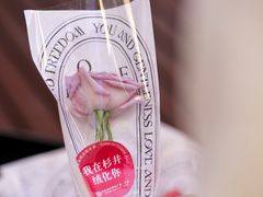 -宁波杉井奥特莱斯广场