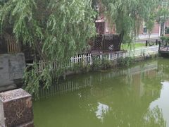 -南汇水蜜桃采摘(大团店)