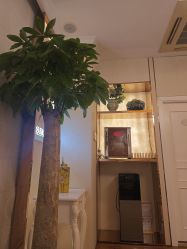 -茜尔维亚修身连锁(庆春银泰店)