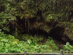 -海口火山口国家地质公园