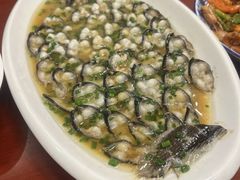 -呼吸森林·生态农庄农家乐私房菜