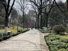 -杭州植物园