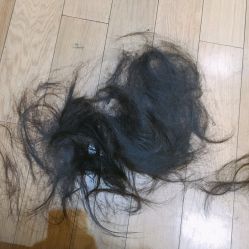 点击看大图 剪掉的头发!-CARR SALON