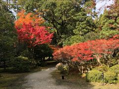 -醍醐寺