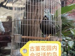 -古董花园(思南路42弄小区店)