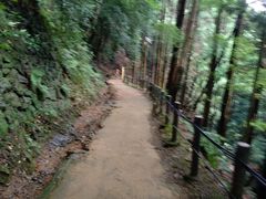 -岚山猴子公园