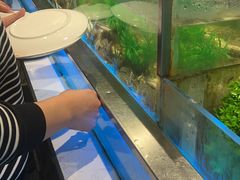 水产区-V-ONE西雅图海鲜自助餐厅(仓山万达广场店)