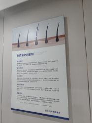 -碧莲盛不剃发植发