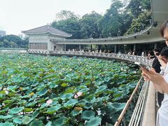 -荔湾湖公园