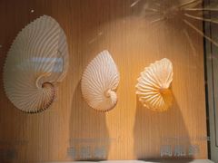 -中国湿地博物馆