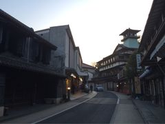Naritasan Shinshoji Temple-成田山新胜寺