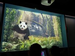 -珠海横琴国家地理探险家中心(创新方)