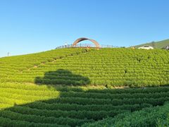 -帐篷客·溪龙茶谷度假酒店