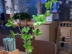 -老乡鸡(上海白玉兰广场店)
