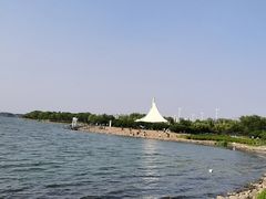 -丁香湖公园