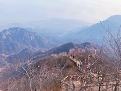-大岭沟猕猴桃谷风景区