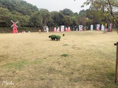 -白马涧龙池景区